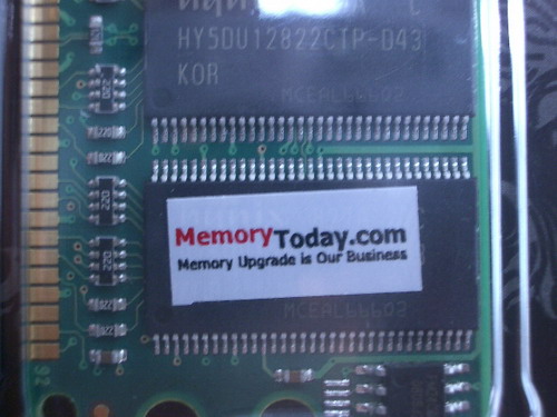 IMGP7231.JPG