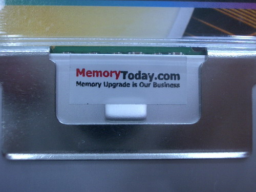 IMGP7233.JPG