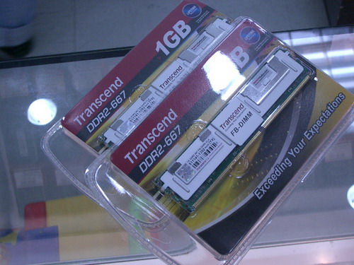 IMGP7237.JPG