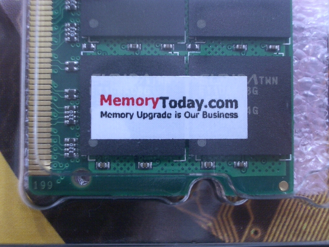 IMGP7246.JPG