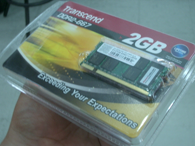 IMGP7248.JPG