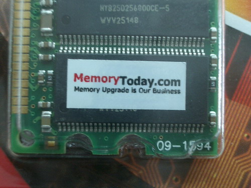 IMGP7252.JPG