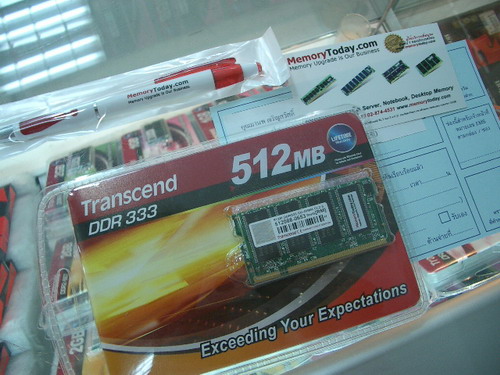 IMGP7259.JPG