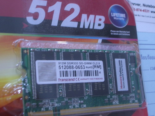 IMGP7260.JPG