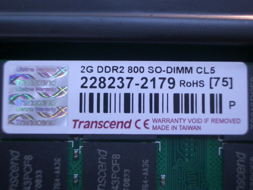IMGP7264.JPG