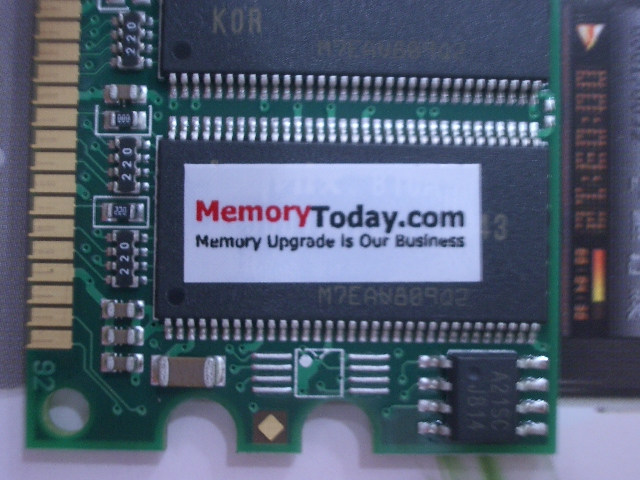 IMGP7280.JPG