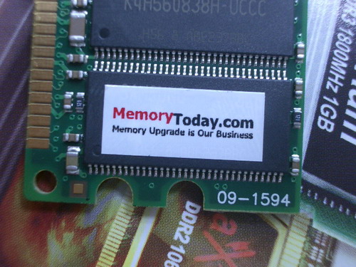 IMGP7297.JPG