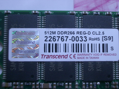 IMGP7298.JPG