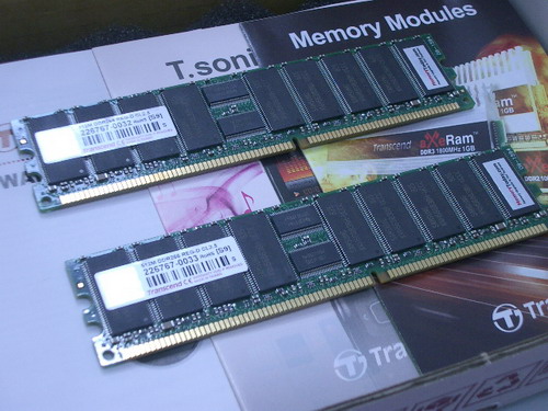 IMGP7302.JPG