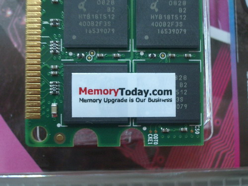 IMGP7306.JPG