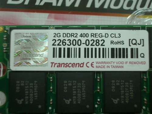 IMGP7307.JPG