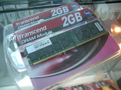 IMGP7310.JPG