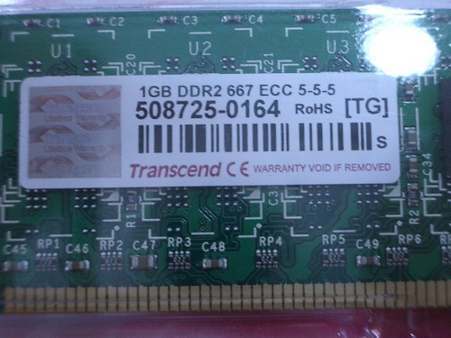 IMGP7330.JPG
