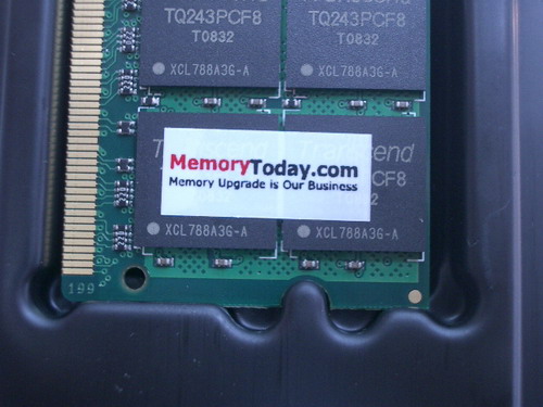 IMGP7357.JPG