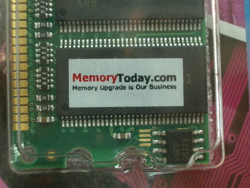 IMGP7362.JPG