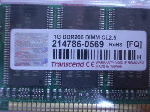 IMGP7364.JPG