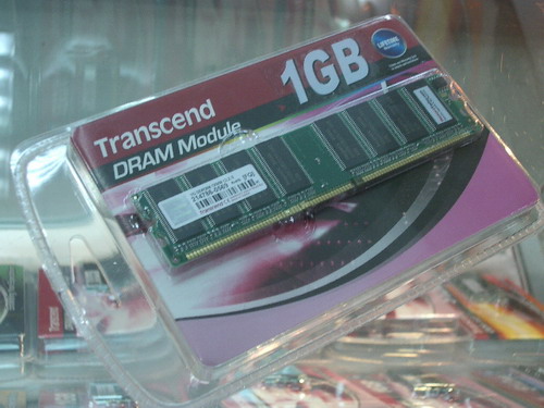 IMGP7366.JPG