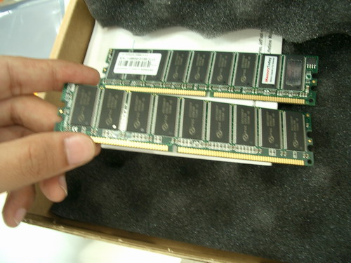 IMGP7406.JPG