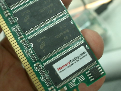 IMGP7444.JPG