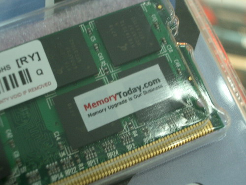 IMGP7454.JPG