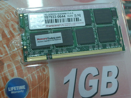 IMGP7460.JPG
