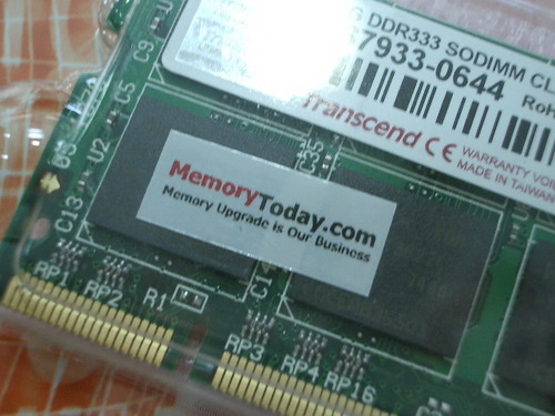 IMGP7462.JPG