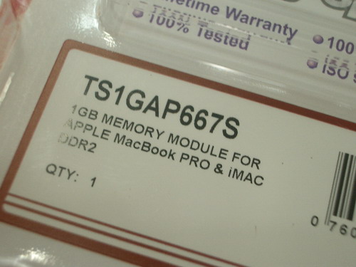 IMGP7466.JPG