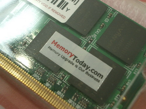 IMGP7467.JPG