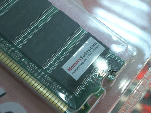IMGP7471.JPG