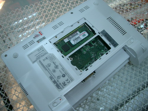 IMGP7475.JPG