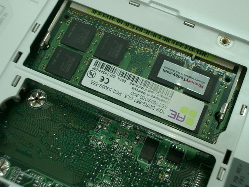 IMGP7481.JPG
