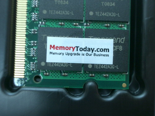 IMGP7486.JPG