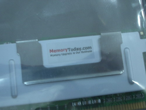 IMGP7491.JPG