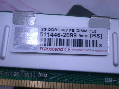 IMGP7499.JPG