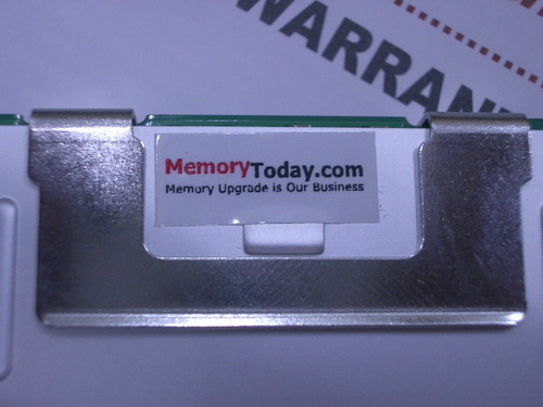IMGP7500.JPG