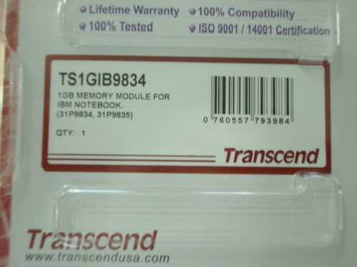 IMGP7501.JPG