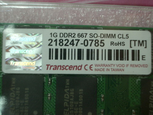 IMGP7504.JPG