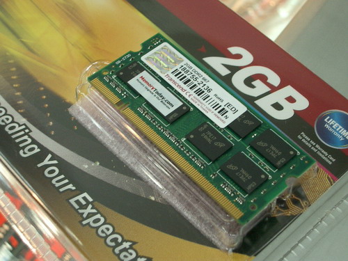 IMGP7504.JPG