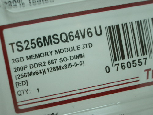 IMGP7505.JPG