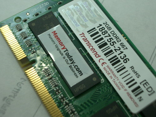 IMGP7506.JPG