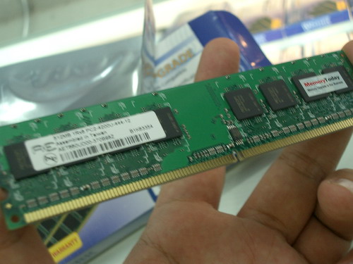 IMGP7508.JPG