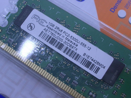 IMGP7509.JPG