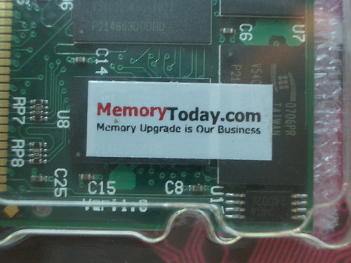 IMGP7510.JPG