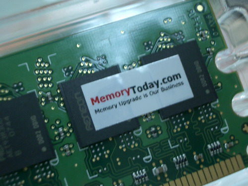 IMGP7510.JPG