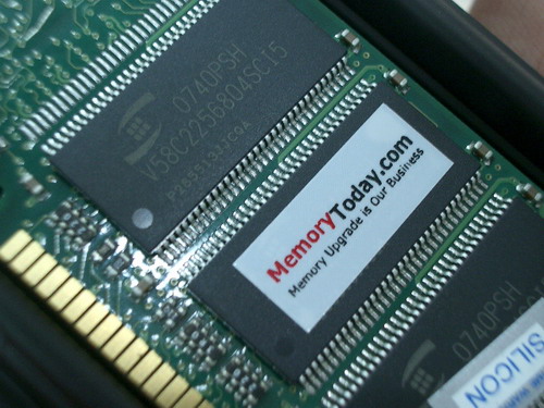 IMGP7524.JPG