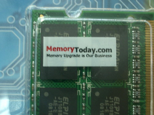 IMGP7525.JPG