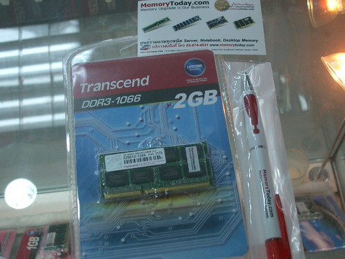 IMGP7528.JPG