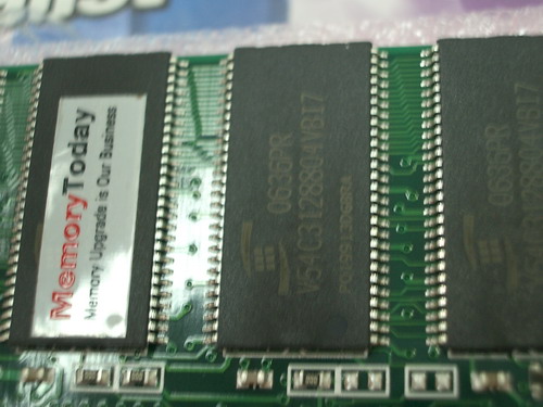 IMGP7553.JPG