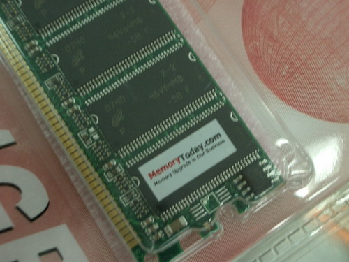 IMGP7554.JPG