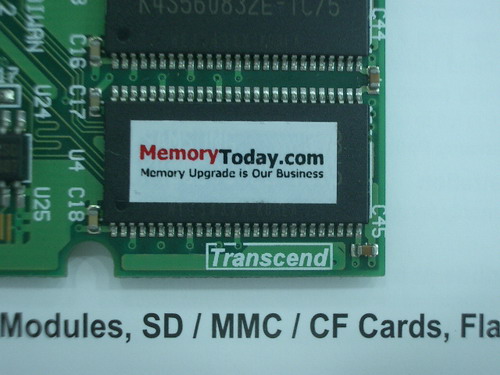 IMGP7555.JPG